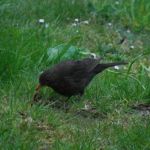 Každý čosi nájde